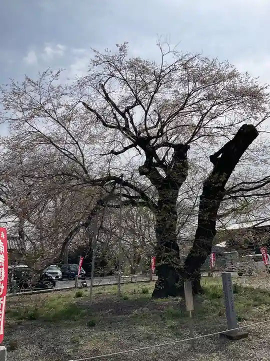 歓喜寺(茨城県)