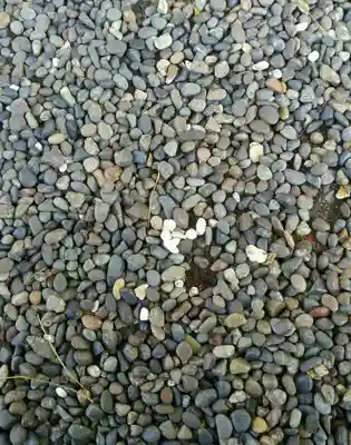 亀戸 香取神社(東京都)