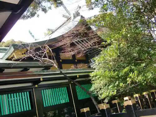 水戸東照宮の本殿・本堂