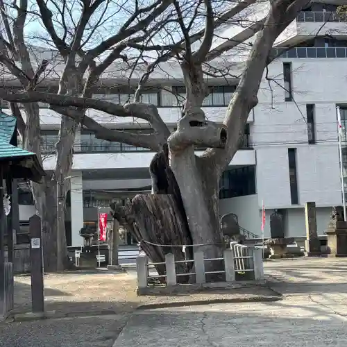 阿邪訶根神社(福島県)