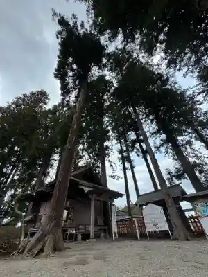 櫛引八幡宮(青森県)