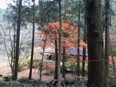 黄金山神社(宮城県)