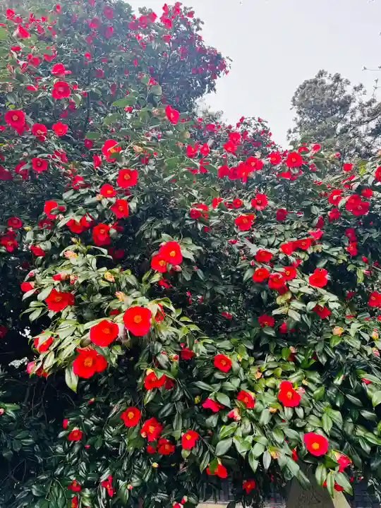 守りの神 藤基神社(新潟県)