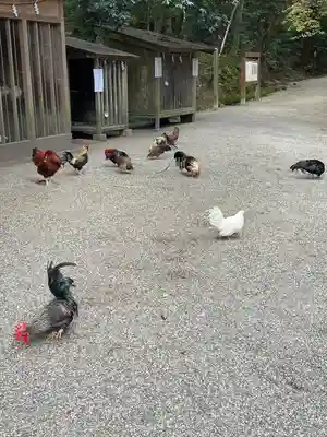 石上神宮(奈良県)