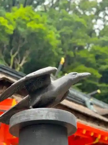 熊野那智大社(和歌山県)