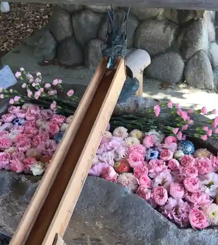 都波岐奈加等神社の手水舎