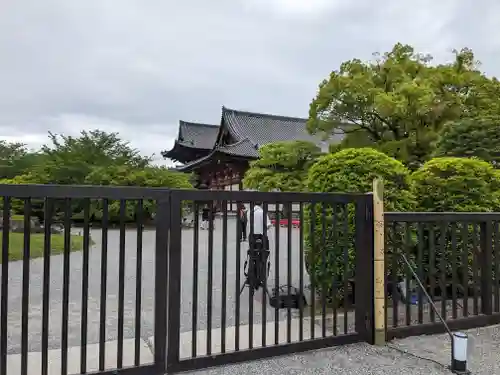 東寺（教王護国寺）(京都府)