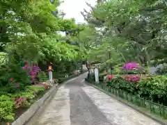 稲毛浅間神社の建物その他