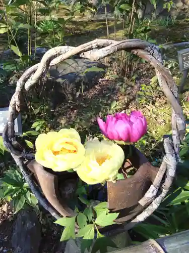 筥崎宮(福岡県)