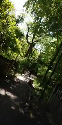 賀茂御祖神社（下鴨神社）(京都府)