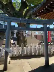 阿保神社(大阪府)