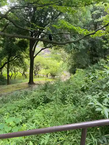 岡村天満宮の自然