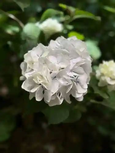 柳谷観音　楊谷寺(京都府)