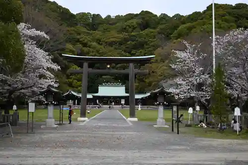 靜岡縣護國神社の鳥居