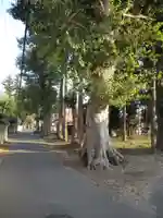 香取神社の周辺