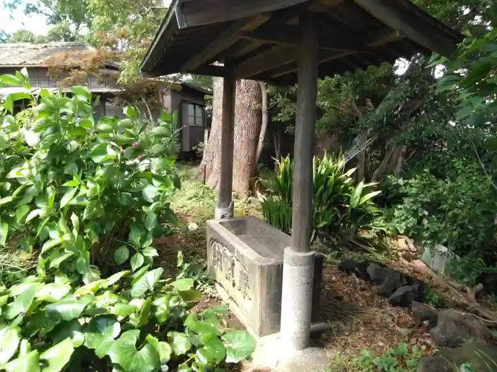 厚木山別院妙晃寺の手水舎