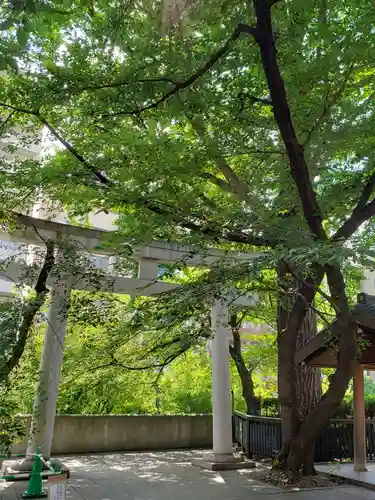熊野神社の鳥居