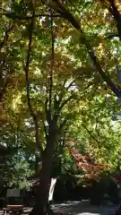 相馬神社(北海道)