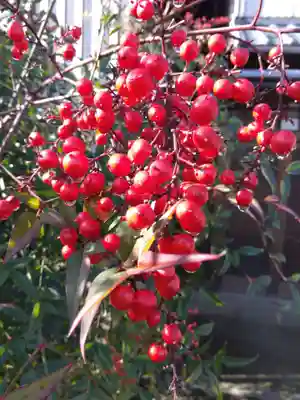 法栄寺(福井県)