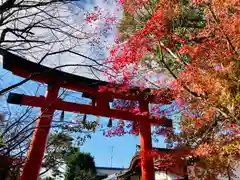 宇治上神社の鳥居