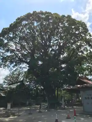 現人神社の自然