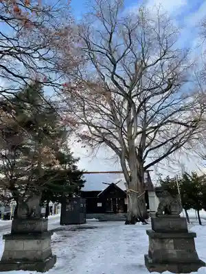 中の島神社(北海道)