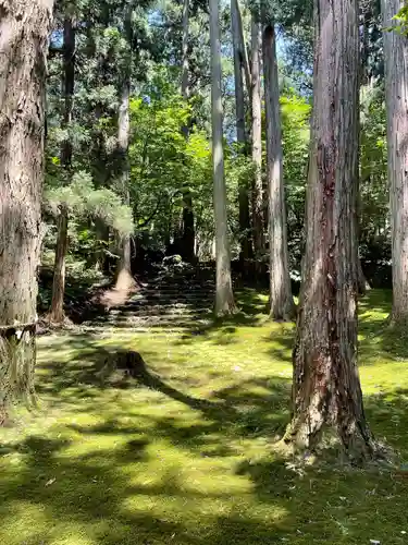 平泉寺白山神社の建物その他