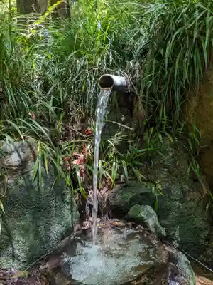 尾張冨士大宮浅間神社の手水舎