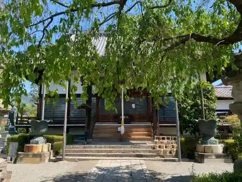大蔵院(群馬県)