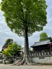 瀧宮神社(埼玉県)