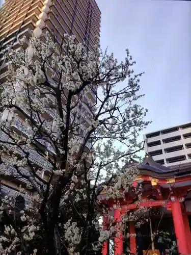 成子天神社(東京都)
