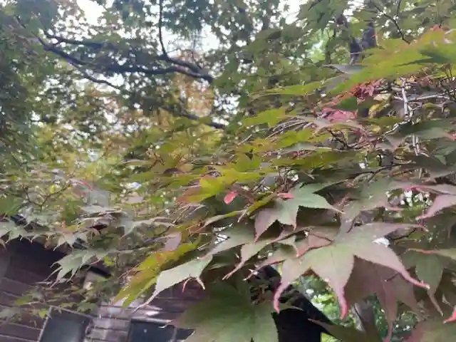 彌彦神社 (伊夜日子神社)の自然