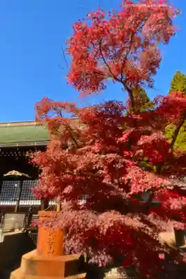 本土寺(千葉県)