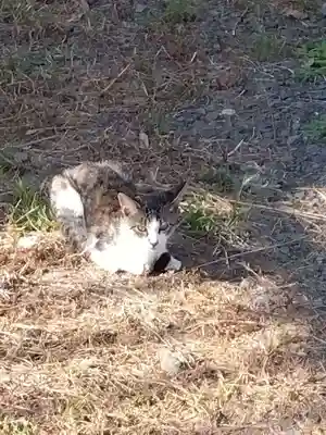 五郎兵衛稲荷神社(茨城県)