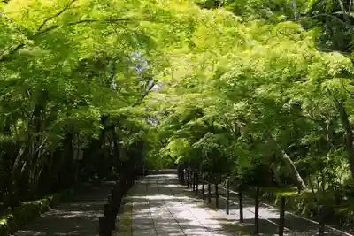 光明寺（粟生光明寺）(京都府)