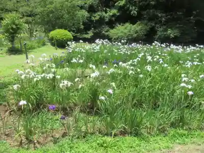 両神神社(埼玉県)