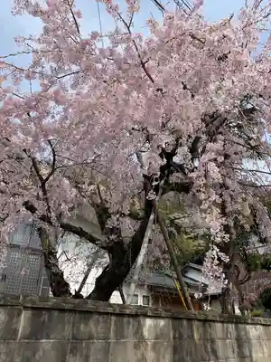 教重寺(福井県)