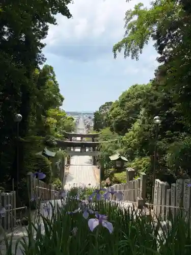 宮地嶽神社(福岡県)