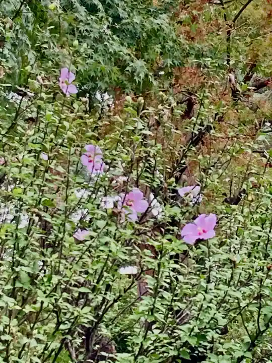 開成山大神宮(福島県)