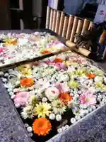 高円寺氷川神社(東京都)