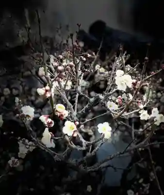 梅香寺(三重県)