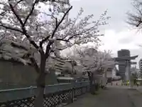 福井神社(福井県)