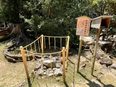 元春日 枚岡神社遥拝所の{uncategorized: "未分類", other: "その他", undefined: "問題あり", building: "その他建物", grave: "お墓", sacred_gate: "鳥居", guardian: "狛犬", statue: "像", buddha: "仏像", history: "歴史", nature: "自然", garden: "庭園", animal: "動物", pagoda: "塔", temizu: "手水舎", mountain_gate: "山門・神門", sanctuary: "本殿・本堂", subordinate: "末社・摂社", art: "芸術", scenery: "景色", jizo: "地蔵", ema: "絵馬", goshuin: "御朱印", omikuji: "おみくじ", items: "授与品その他", amulet: "お守り", goshuincho: "御朱印帳", eats: "食事", festival: "お祭り", votive_dance: "神楽", shichigosan: "七五三参", wedding: "結婚式", experience: "体験その他", initially: "初詣", around: "周辺", anti_infection: "感染症対策"}