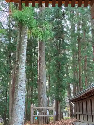 諏訪大社下社秋宮のその他建物