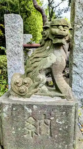 菊田神社の狛犬