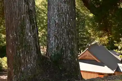 河内白王神社(高知県)