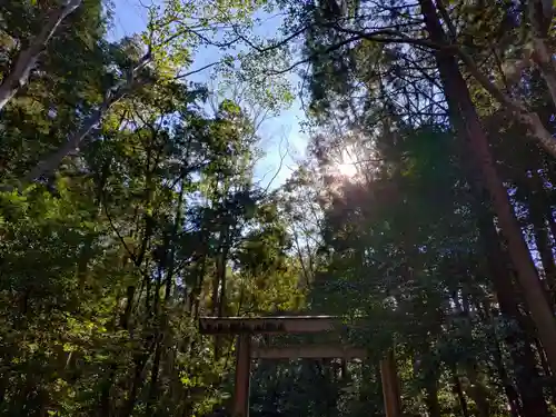 伊勢神宮外宮（豊受大神宮）(三重県)