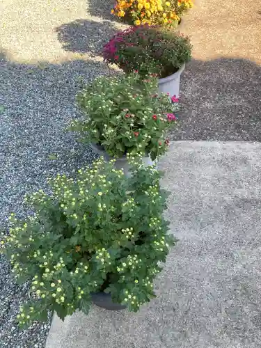 神田寺(神奈川県)