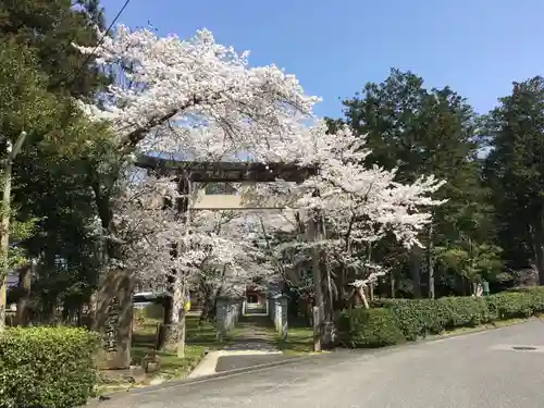 出石神社の鳥居