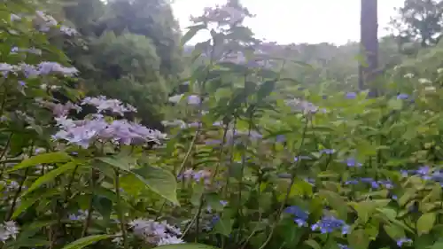 柳谷観音　楊谷寺の景色